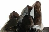 Dark Smoky Quartz Crystal Cluster on Metal Stand - Brazil #349478-4